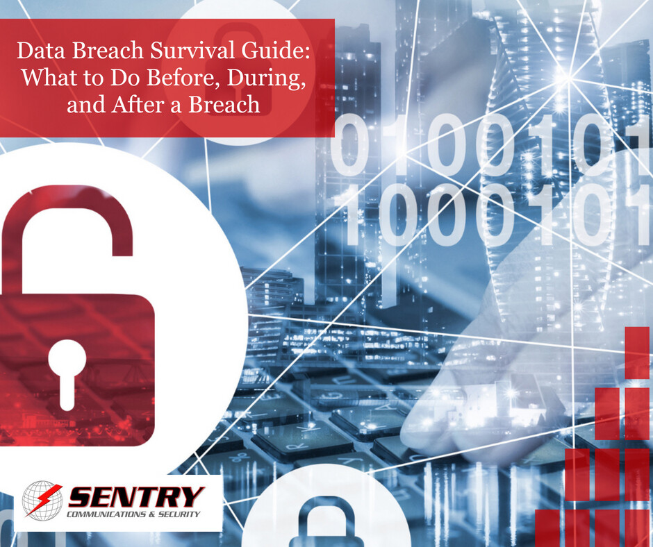 Data Breach Survival Guide: What To Do Before, During, And After A ...